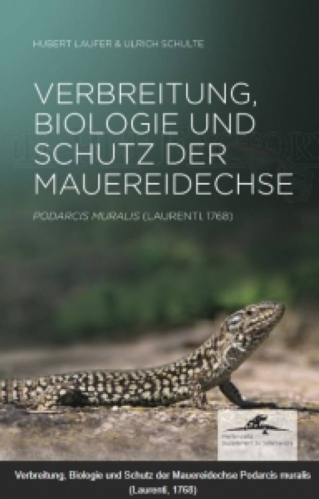 Verbreitung, Biologie und Schutz der Mauereidechse Podarcis muralis